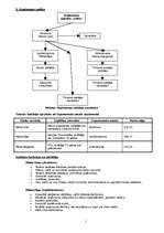 Biznesa plāns 'SIA "Braucam!"', 5.