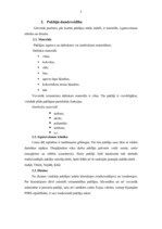 Referāts 'Paklāji interjerā', 5.