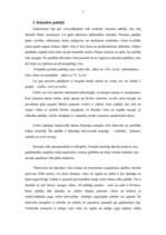 Referāts 'Paklāji interjerā', 7.