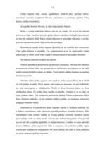 Referāts 'Paklāji interjerā', 13.