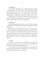 Referāts 'Paklāji interjerā', 16.