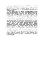 Referāts 'Lats vai eiro? Kurš valdīs 21.gadsimtā', 5.