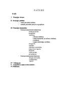 Referāts 'Francija', 1.