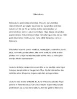 Konspekts 'Laukumi Rīgā', 4.