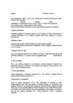 Paraugs 'Starptautiskais tirdzniecības līgums', 4.