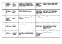 Konspekts 'Jūgendstils', 2.