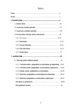 Referāts 'Īstermiņa kredītu tirgus novērtēšana', 2.