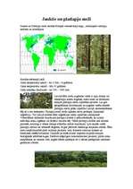 Konspekts 'Jauktie un platlapju meži', 1.