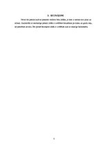 Referāts 'Neatkarīgā balstiekārta', 8.