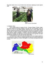 Biznesa plāns 'Latvian Rural Consultancy Centre', 20.