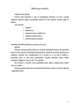 Biznesa plāns 'Viesu nams "Paradīze"', 8.