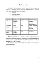 Biznesa plāns 'Viesu nams "Paradīze"', 13.