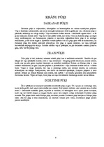 Referāts 'Pūķis', 8.