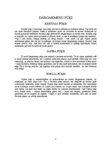 Referāts 'Pūķis', 9.