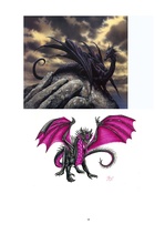 Referāts 'Pūķis', 12.