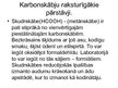 Prezentācija 'Karbonskābes', 14.