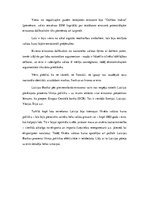 Referāts 'Eiro ieviešanas problēmas', 8.