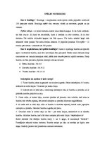 Konspekts 'Boulings', 2.