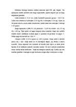 Konspekts 'Boulings', 4.