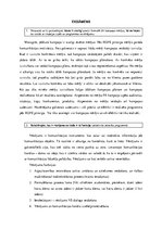 Eseja 'Eksāmens ar atbildēm. Līderības kurss', 1.