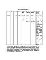 Prakses atskaite 'Prakse sākumskolā', 1.