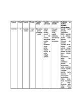 Prakses atskaite 'Prakse sākumskolā', 2.