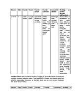 Prakses atskaite 'Prakse sākumskolā', 8.