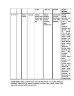 Prakses atskaite 'Prakse sākumskolā', 9.