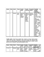 Prakses atskaite 'Prakse sākumskolā', 10.