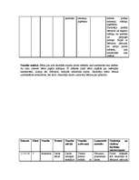 Prakses atskaite 'Prakse sākumskolā', 11.