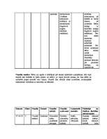 Prakses atskaite 'Prakse sākumskolā', 12.