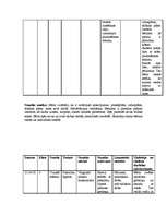 Prakses atskaite 'Prakse sākumskolā', 14.