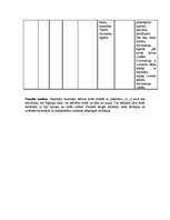 Prakses atskaite 'Prakse sākumskolā', 15.