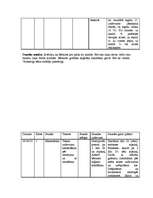 Prakses atskaite 'Prakse sākumskolā', 20.