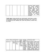 Prakses atskaite 'Prakse sākumskolā', 22.