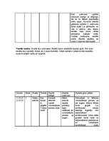 Prakses atskaite 'Prakse sākumskolā', 23.