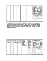 Prakses atskaite 'Prakse sākumskolā', 24.