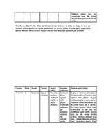 Prakses atskaite 'Prakse sākumskolā', 26.