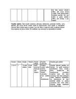 Prakses atskaite 'Prakse sākumskolā', 28.