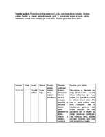 Prakses atskaite 'Prakse sākumskolā', 29.