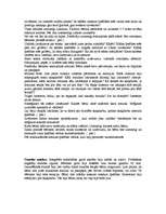 Prakses atskaite 'Prakse sākumskolā', 32.