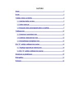 Referāts 'Vadītāja loma un ietekme uz SIA "X" darbību', 1.