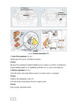 Diplomdarbs 'Automobiļu transmisijas demontāža, sastāvdaļu defektēšana, remonts un montāža', 12.