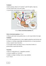 Diplomdarbs 'Automobiļu transmisijas demontāža, sastāvdaļu defektēšana, remonts un montāža', 15.