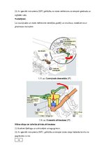 Diplomdarbs 'Automobiļu transmisijas demontāža, sastāvdaļu defektēšana, remonts un montāža', 18.