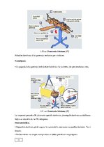 Diplomdarbs 'Automobiļu transmisijas demontāža, sastāvdaļu defektēšana, remonts un montāža', 22.