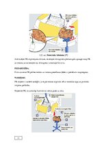 Diplomdarbs 'Automobiļu transmisijas demontāža, sastāvdaļu defektēšana, remonts un montāža', 23.