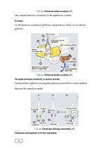 Diplomdarbs 'Automobiļu transmisijas demontāža, sastāvdaļu defektēšana, remonts un montāža', 24.