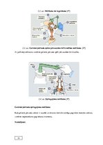 Diplomdarbs 'Automobiļu transmisijas demontāža, sastāvdaļu defektēšana, remonts un montāža', 29.
