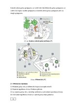 Diplomdarbs 'Automobiļu transmisijas demontāža, sastāvdaļu defektēšana, remonts un montāža', 30.